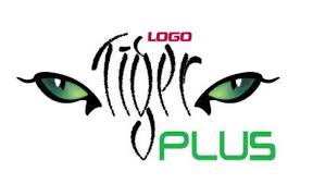 Logo Tiger Plus Efatura Çözümü